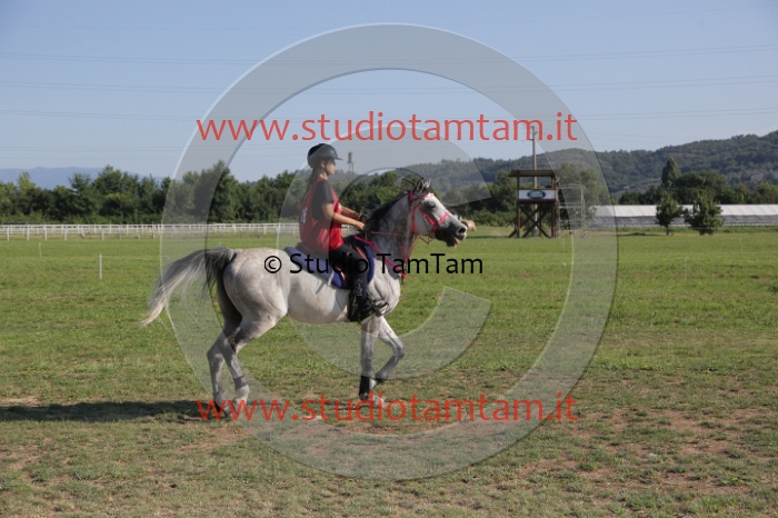 MAT_3497.JPG
