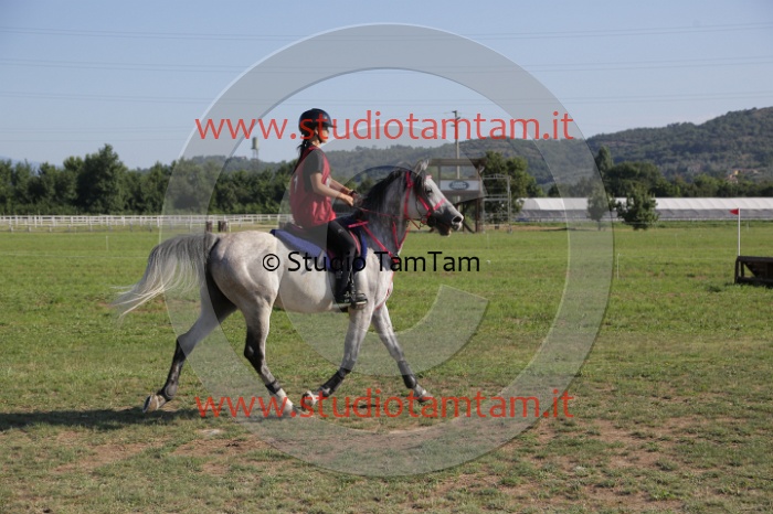 MAT_3498.JPG
