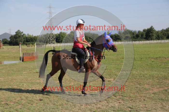 MAT_3509.JPG