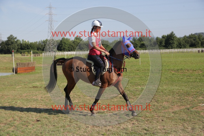 MAT_3510.JPG
