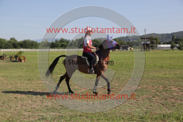 MAT_3514.JPG