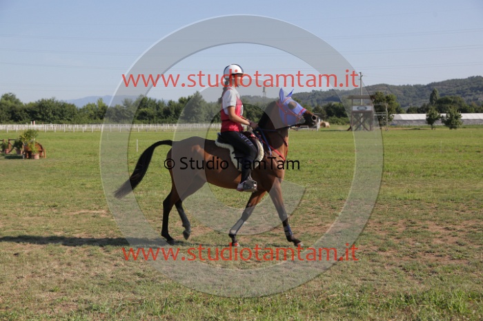 MAT_3515.JPG