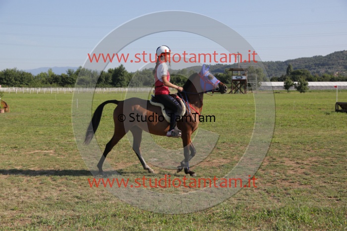 MAT_3516.JPG