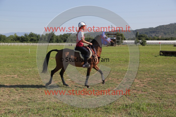 MAT_3517.JPG