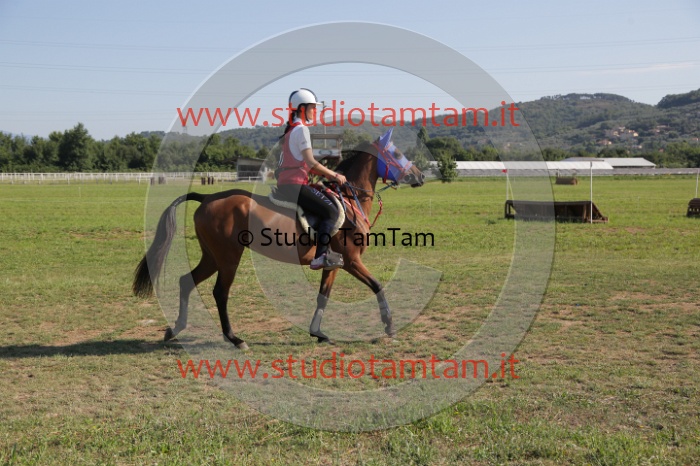 MAT_3518.JPG