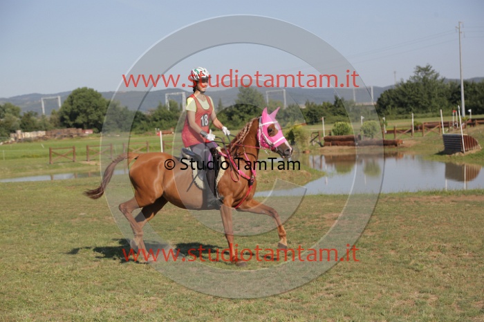MAT_3527.JPG