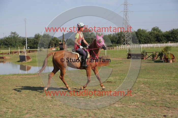 MAT_3531.JPG