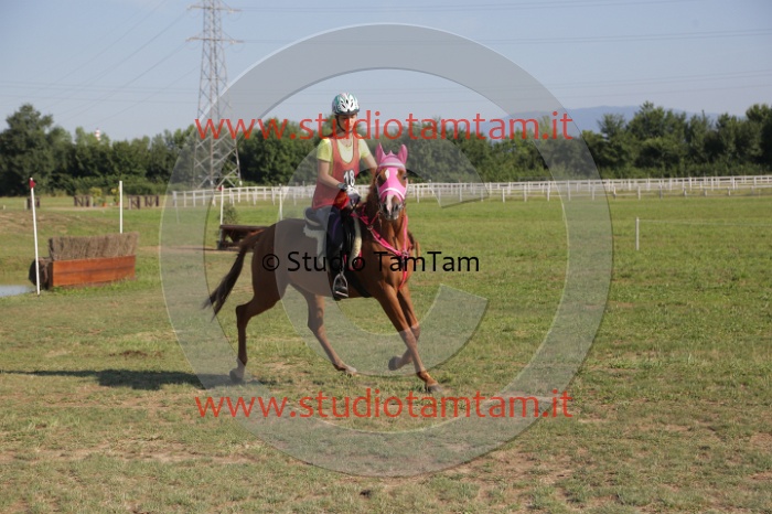 MAT_3534.JPG