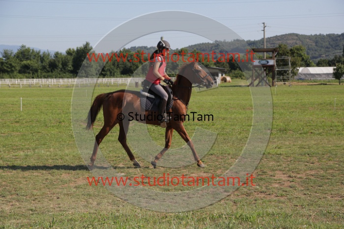 MAT_3548.JPG