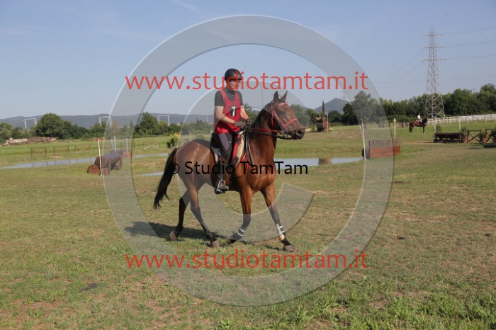 MAT_3561.JPG