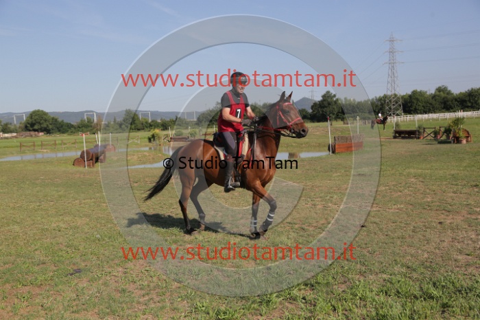 MAT_3562.JPG