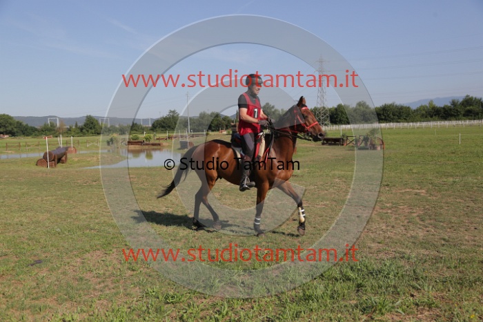 MAT_3563.JPG