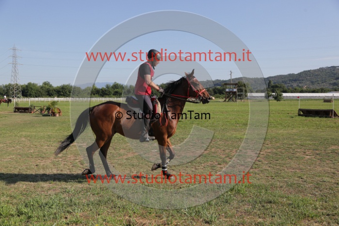 MAT_3567.JPG