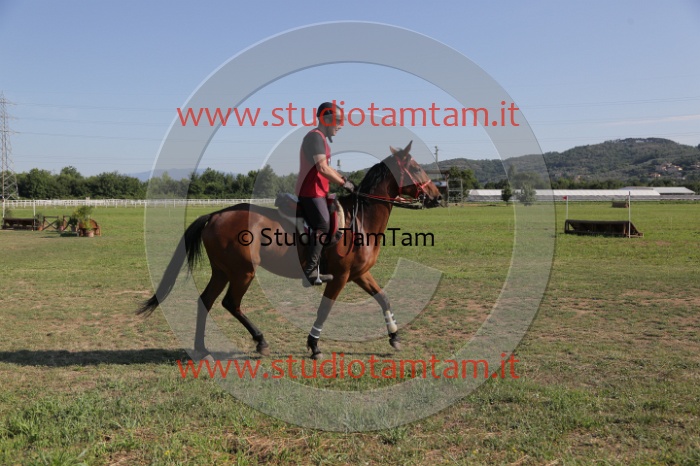 MAT_3568.JPG