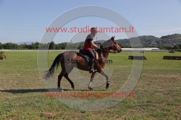 MAT_3570.JPG