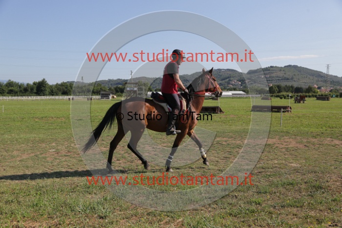 MAT_3571.JPG