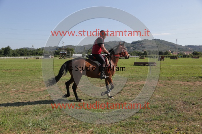 MAT_3572.JPG