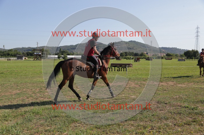MAT_3573.JPG