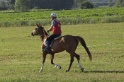 MAT_3326