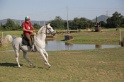 MAT_3361
