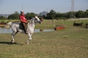 MAT_3363