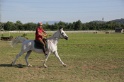 MAT_3366