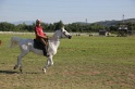 MAT_3367