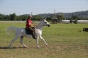 MAT_3368
