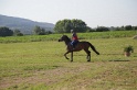 MAT_3375