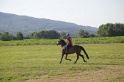MAT_3378