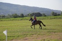 MAT_3379