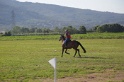 MAT_3381