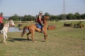 MAT_3387