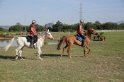 MAT_3388