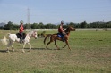 MAT_3391
