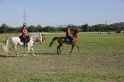 MAT_3392