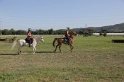 MAT_3394