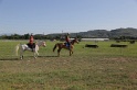 MAT_3396