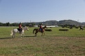 MAT_3397