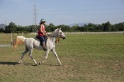 MAT_3406