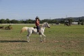 MAT_3409