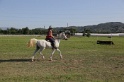 MAT_3411