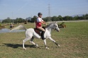 MAT_3447