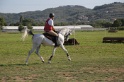 MAT_3450