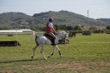 MAT_3452