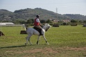 MAT_3453