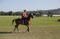 MAT_3464