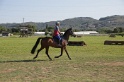 MAT_3485