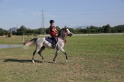 MAT_3493