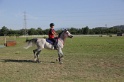 MAT_3494